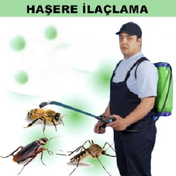Yelki Böcek İlaçlama